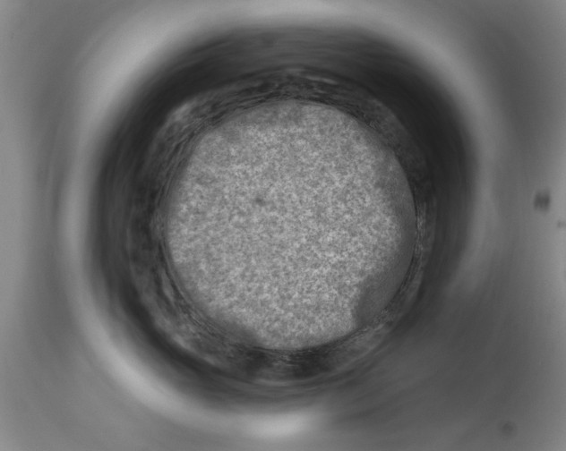 X0000114690765200911181253