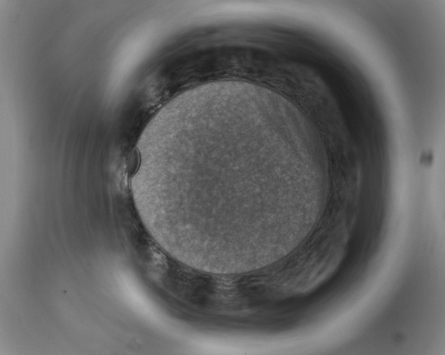 X0000114690766200911181253