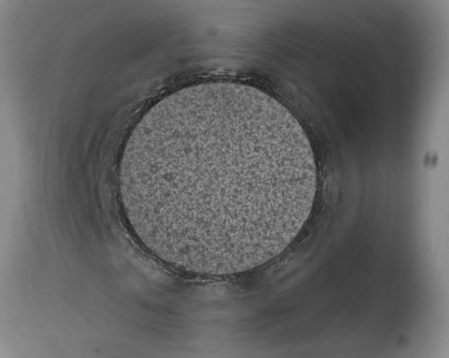 X0000114690769200911181252