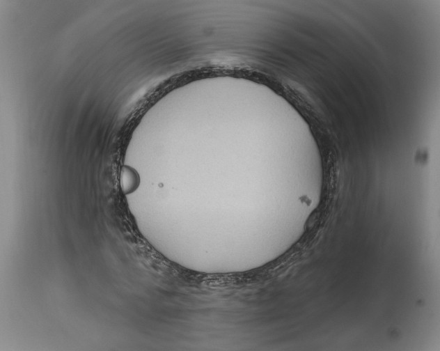 X0000114690776200911181252