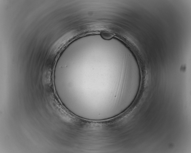 X0000114690777200911181252