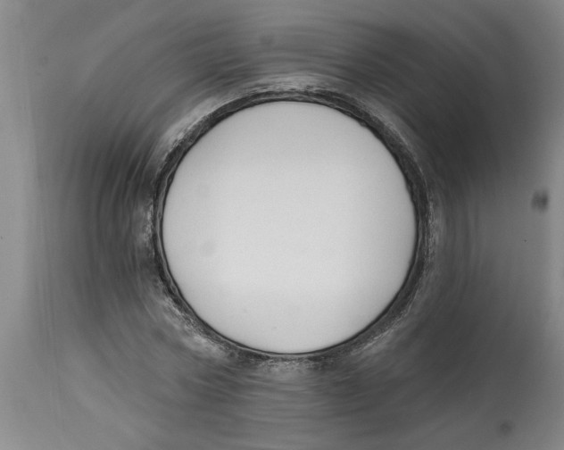 X0000114690778200911181252