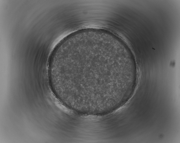 X0000114690779200911181252