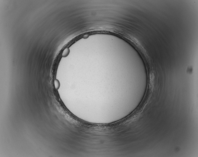 X0000114690780200911181252