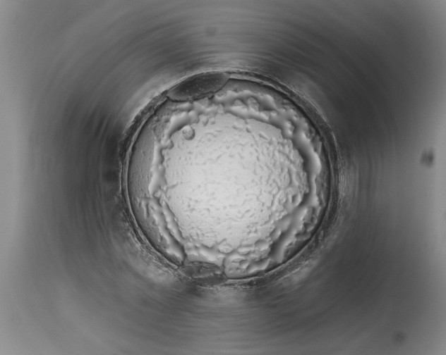 X0000114690781200911181252