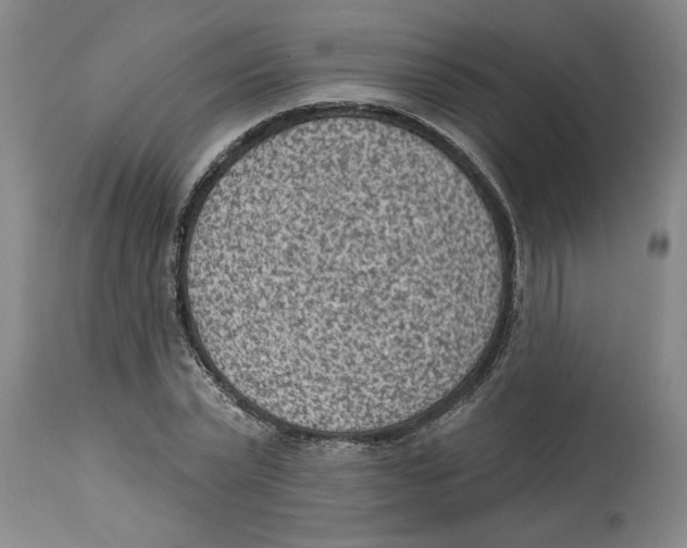 X0000114690783200911181252