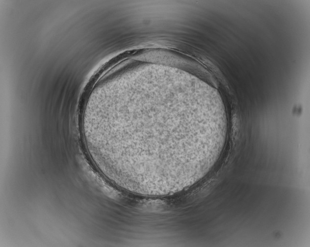 X0000114690784200911181252