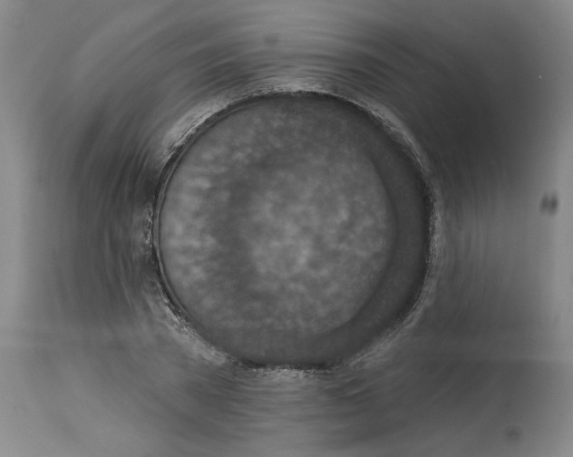 X0000114690785200911181252