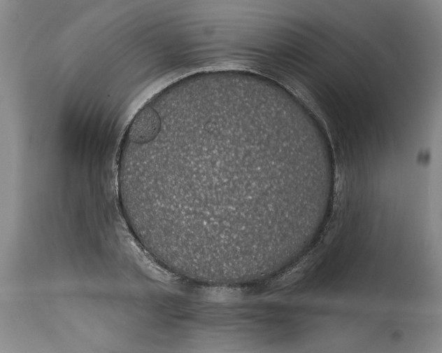 X0000114690789200911181252