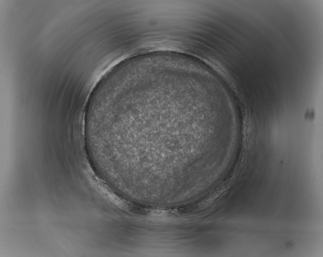 X0000114690790200911181252