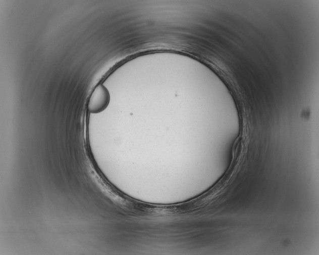 X0000114690796200911181252