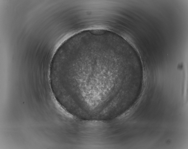 X0000114690797200911181252