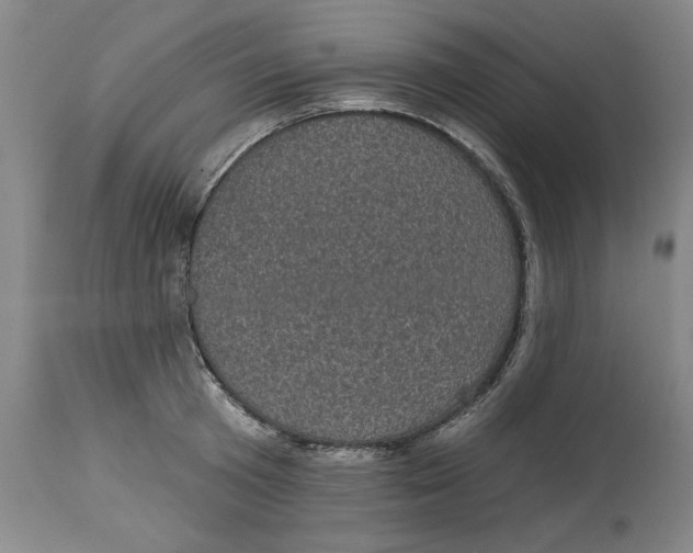 X0000114690801200911181252