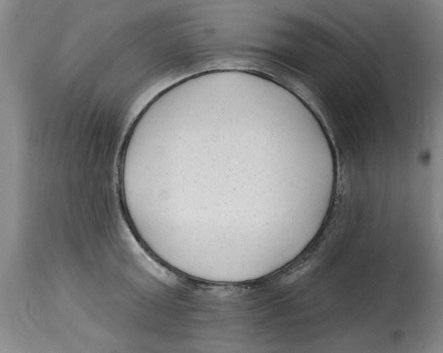 X0000114690803200911181252