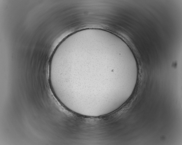 X0000114690804200911181252