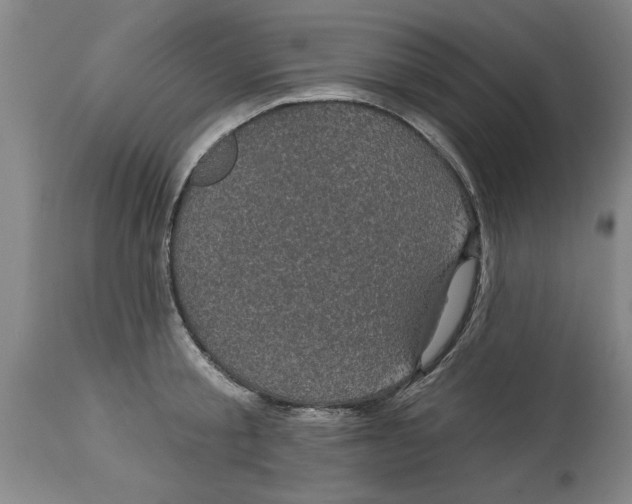 X0000114690805200911181252