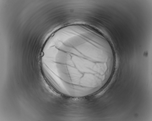 X0000114690806200911181252