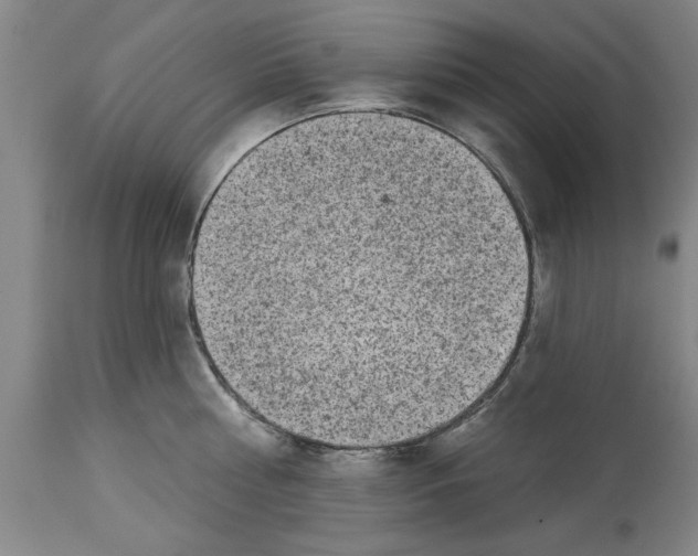 X0000114690810200911181252