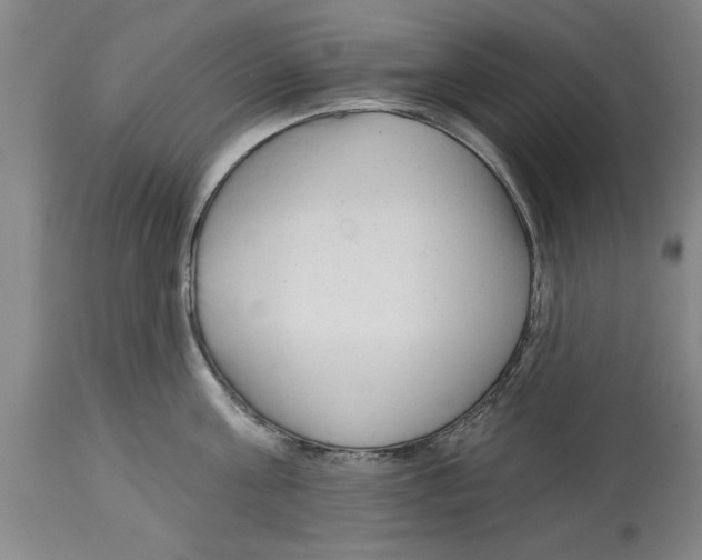 X0000114690811200911181252