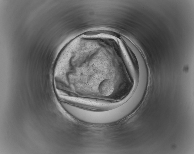 X0000114690813200911181252