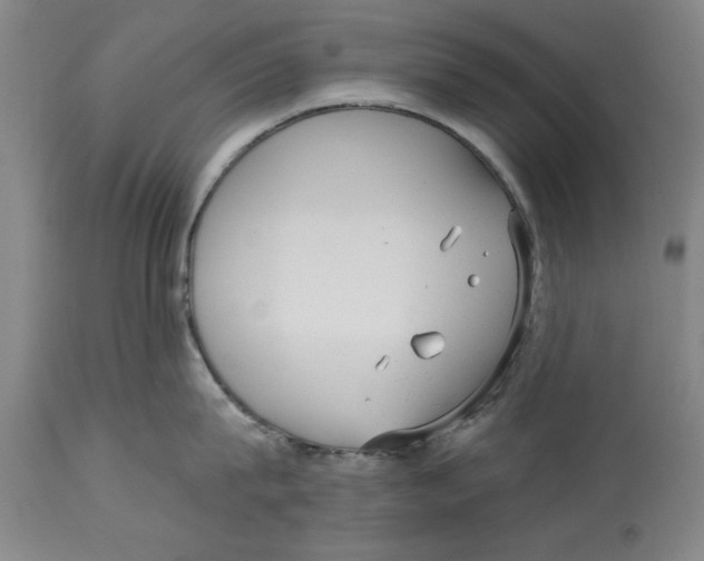 X0000114690815200911181252