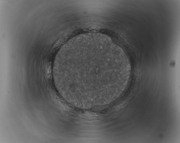 X0000114690818200911181251