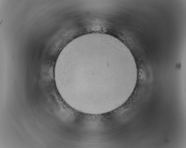 X0000114690820200911181251