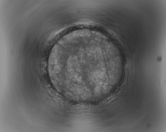 X0000114690822200911181251