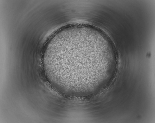 X0000114690823200911181251