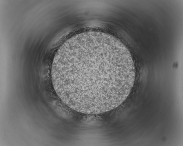 X0000114690824200911181251