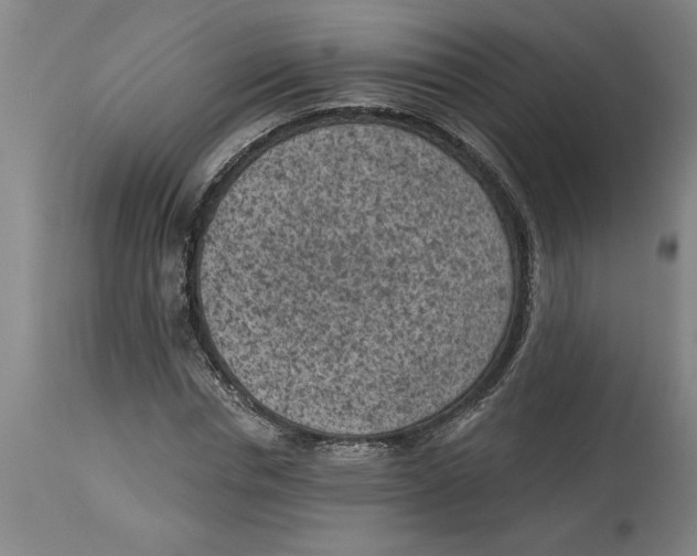 X0000114690826200911181251