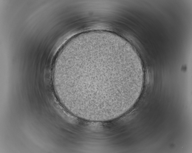 X0000114690828200911181251