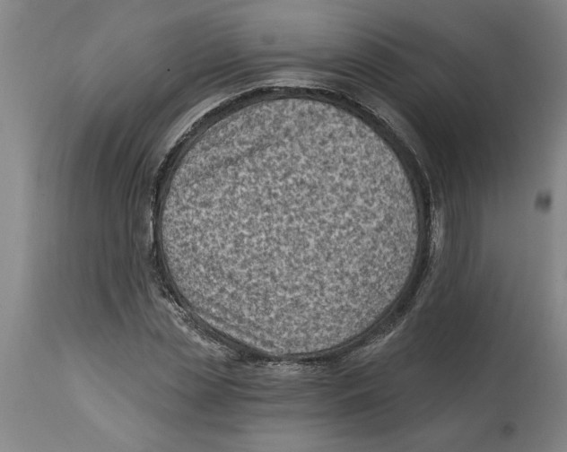 X0000114690829200911181251