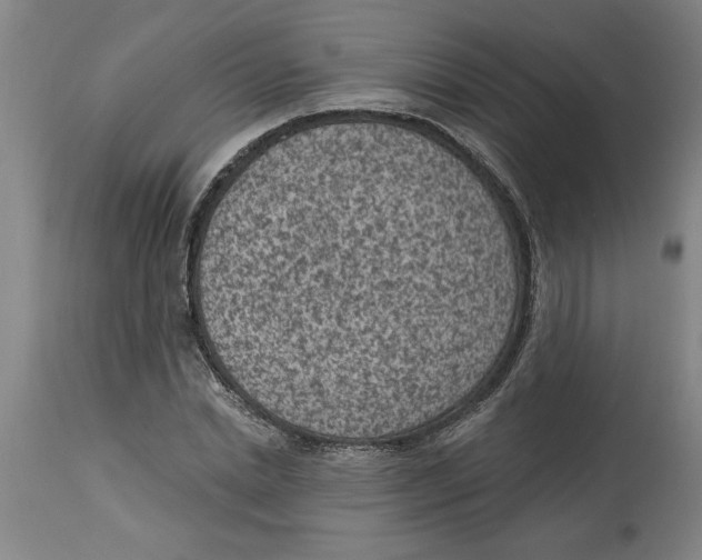 X0000114690830200911181251