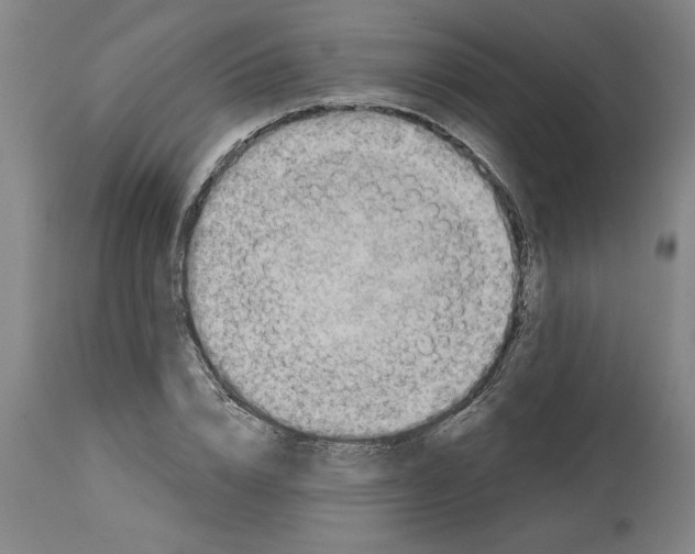 X0000114690832200911181251