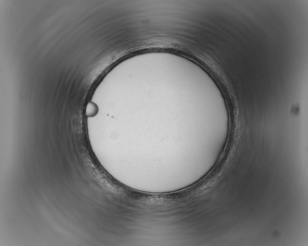 X0000114690834200911181251