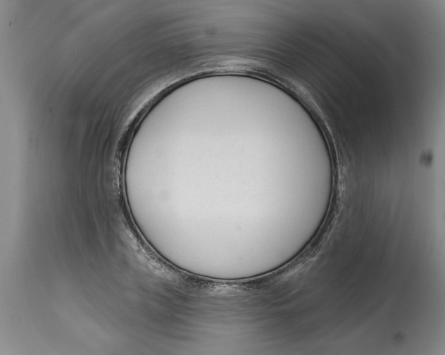 X0000114690835200911181251