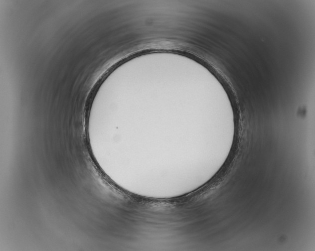 X0000114690837200911181251