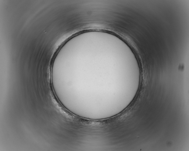 X0000114690839200911181251