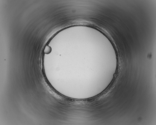 X0000114690843200911181251