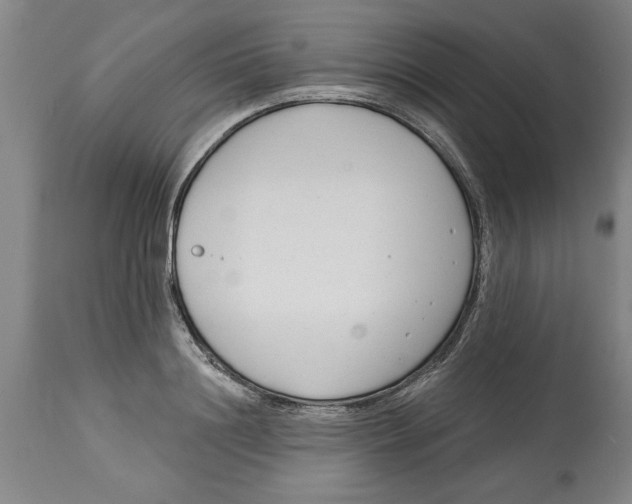 X0000114690844200911181251