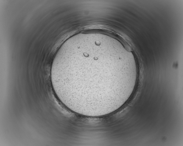 X0000114690849200911181252