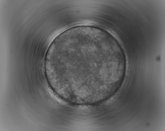 X0000114690850200911181252