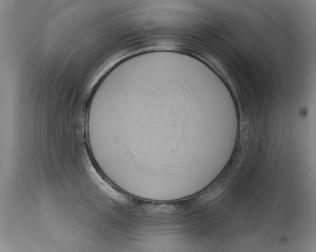 X0000114690851200911181252