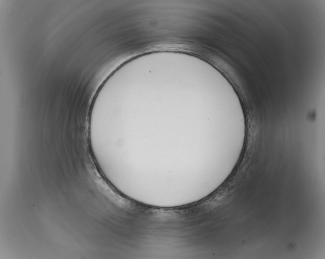 X0000114690852200911181252