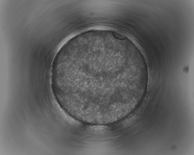 X0000114690853200911181252