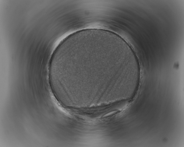 X0000114690854200911181252