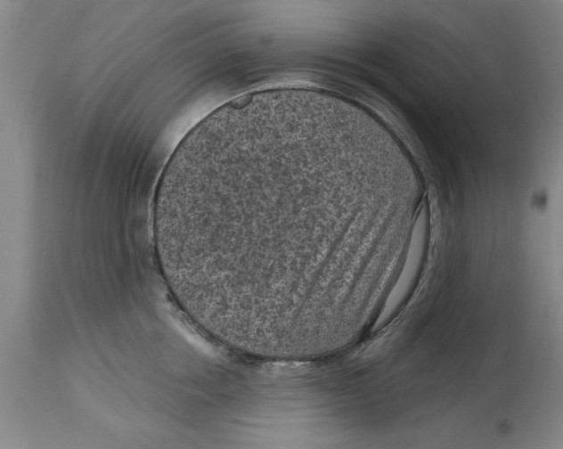 X0000114690858200911181252