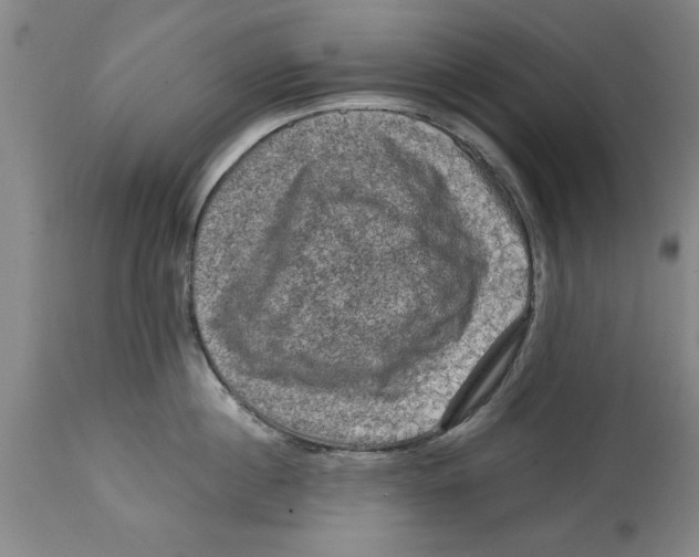 X0000114690860200911181252