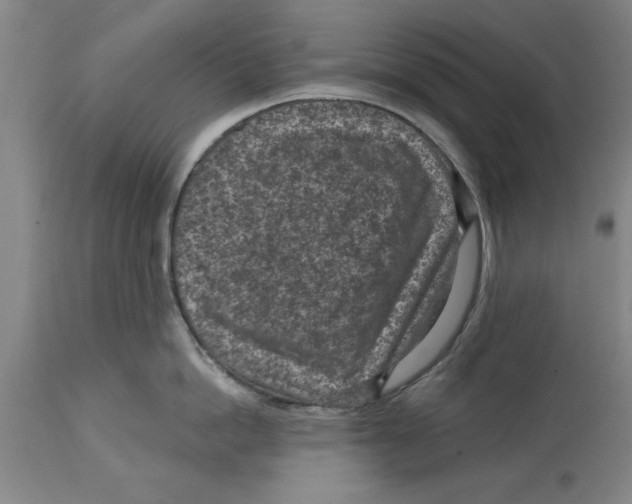 X0000114690862200911181252